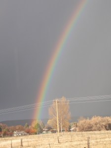 A Colorado rainbow seen from our front deck following a spring storm. Rainbows remind me of God's goodness, His grace, and His promises. 