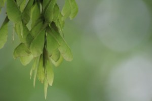 It's time to look beyond the issues and see the people. Sometimes we have to keep our focus small -- on one person rather than  the big issues.