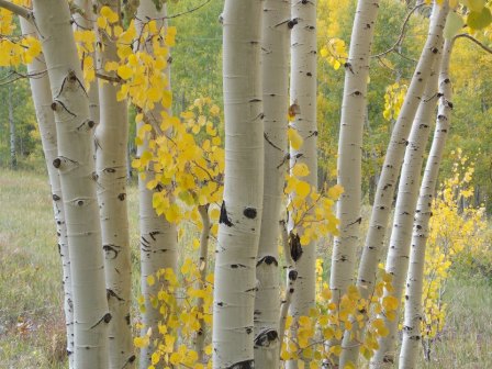 548068_4267399496735_229992290_n