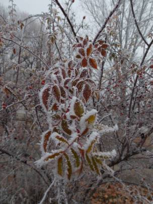 1463306_10201992474966971_1743788417_n