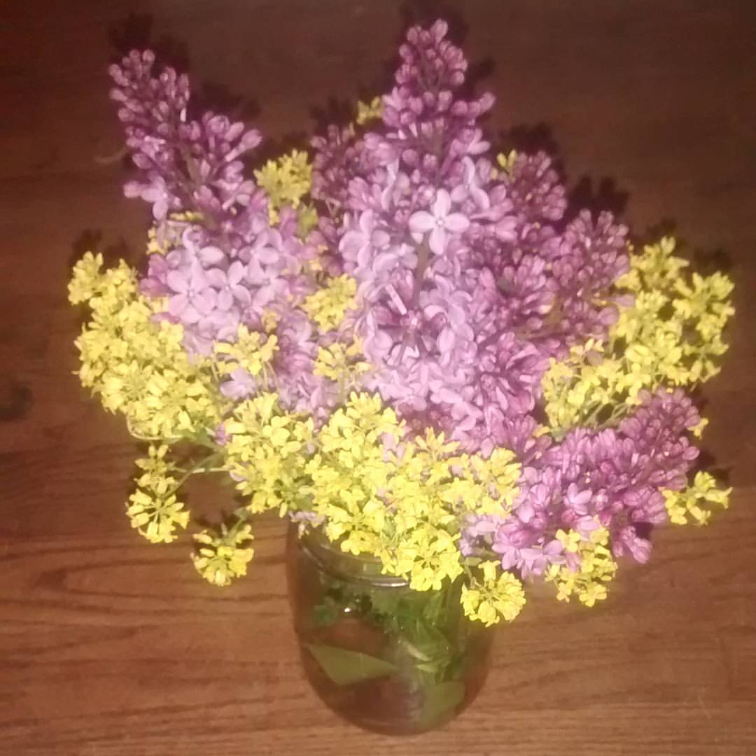 13072871_10207998794641209_8514984894399717223_o